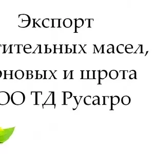Экспорт растительных масел,  зерновых и шрота от ТД Русагро